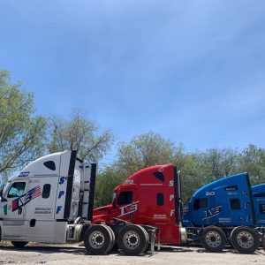 WhatsApp Image 2025-05-13 at 11.21.18